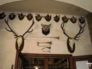 Bilder Galerie 2011