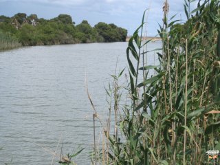 Biotop Parc natural de S’Albufera