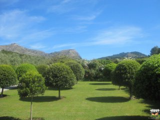 Rosengarten im Museum fundacion jakober