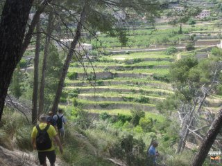 Wanderung von Esporles nach Banyalbufar